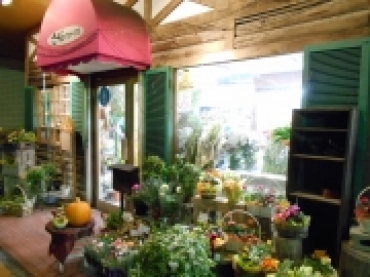 「さくらフローリスト」　（高知県高知市）の花屋店舗写真2